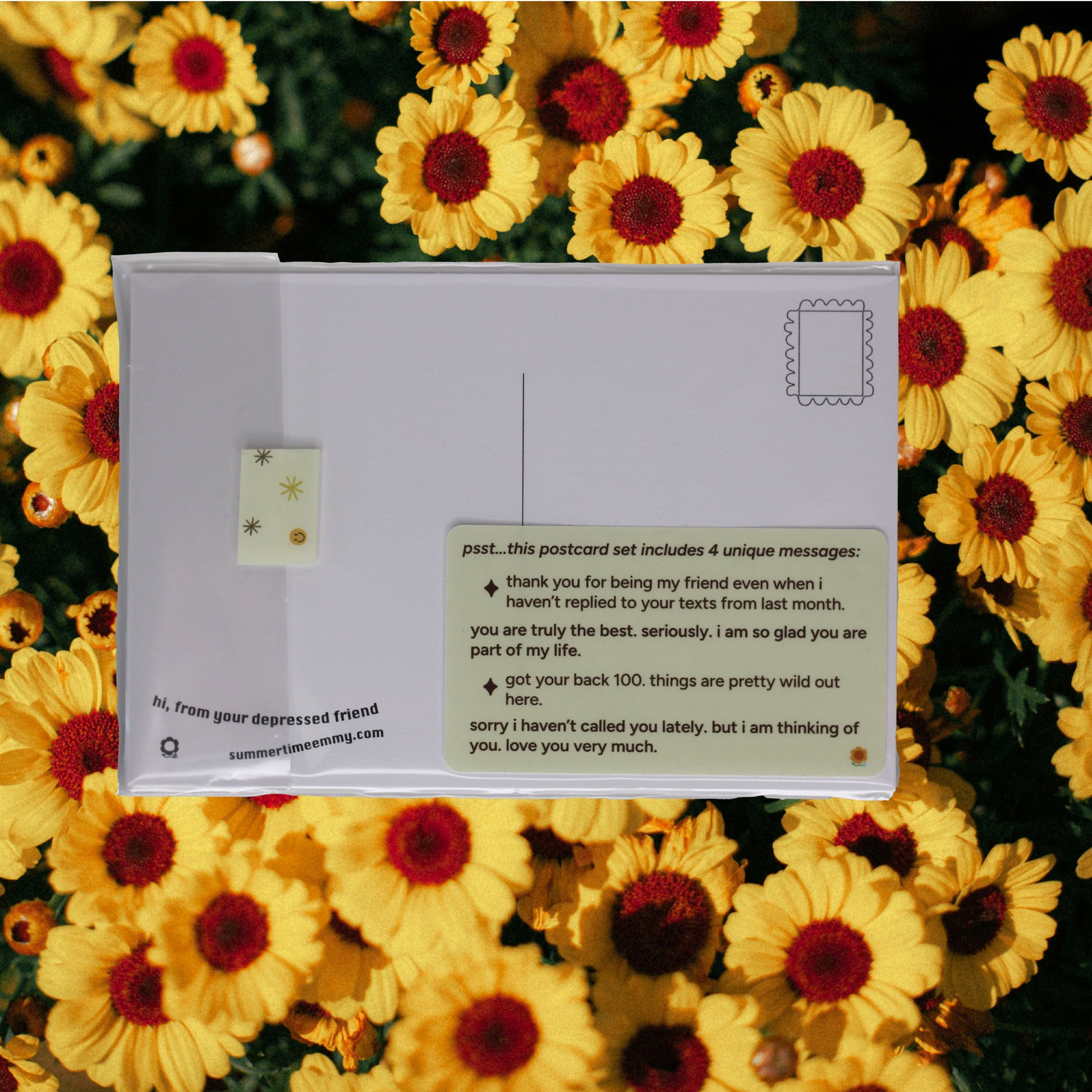 back of postcard pack with label